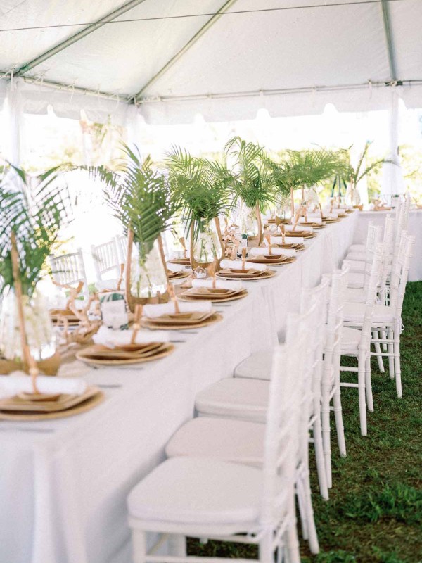 1200x1804 dsc 1200x1804 dsc